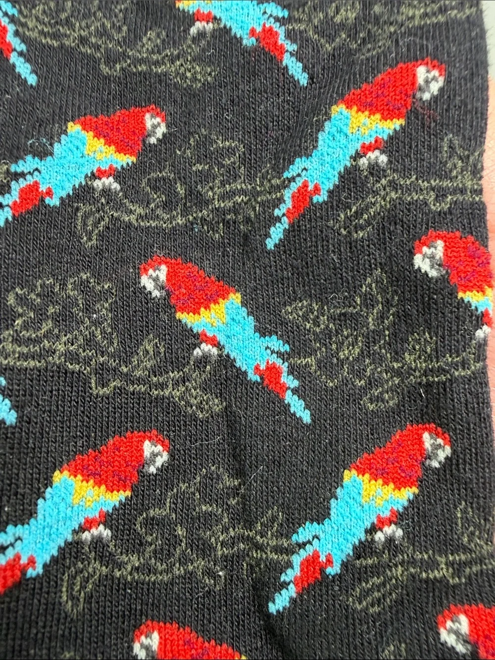 NWT Scarlet Macaw Parrot Women’s 9-11 Crew Socks Bird Lover Psittacine Boho